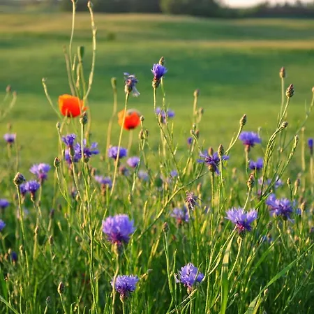 Na Gorce Country house *