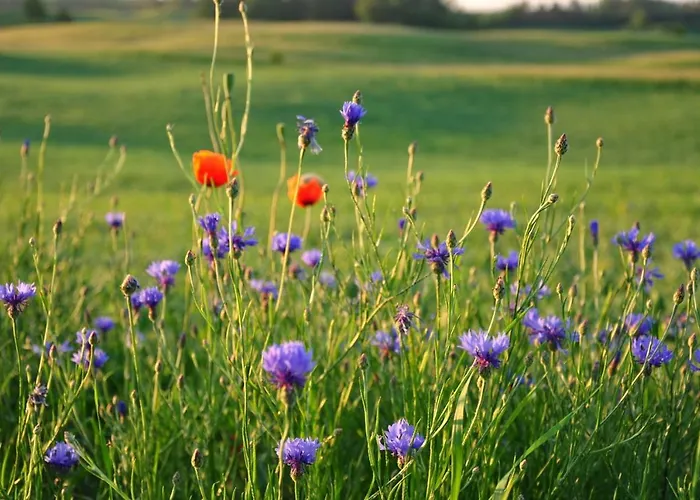 Na Gorce Country house *