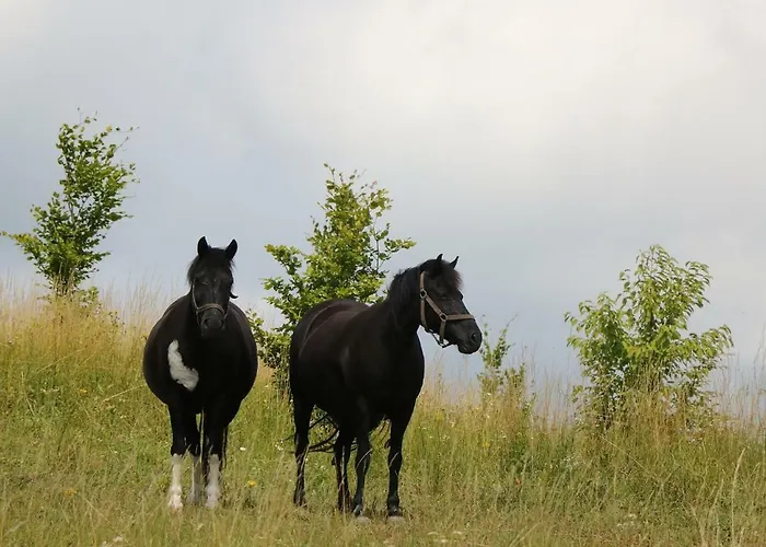 Na Gorce Country house Sorkwity