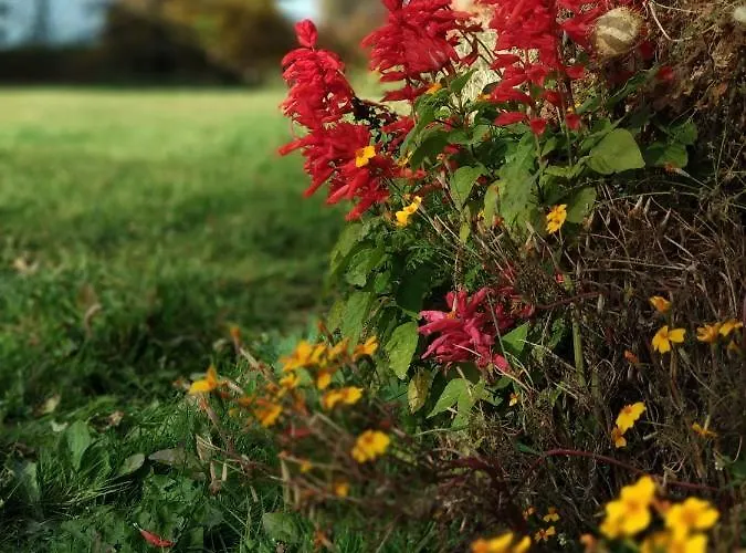 Na Gorce Country house *