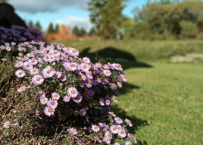 Na Gorce Country house *